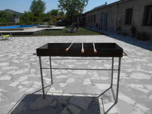 DSCN2385